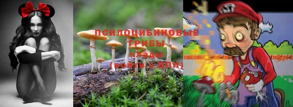 метамфетамин Алексеевка
