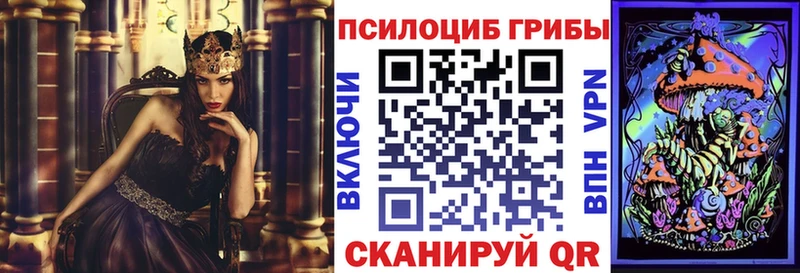 Галлюциногенные грибы Magic Shrooms купить наркоту Бокситогорск